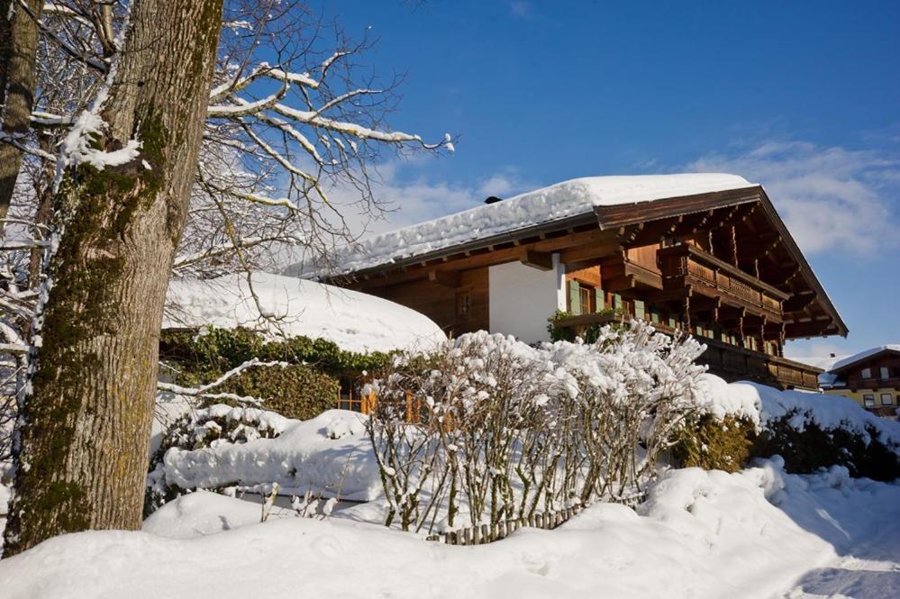 エルマウ Haus Garden Bed & Breakfast エクステリア 写真